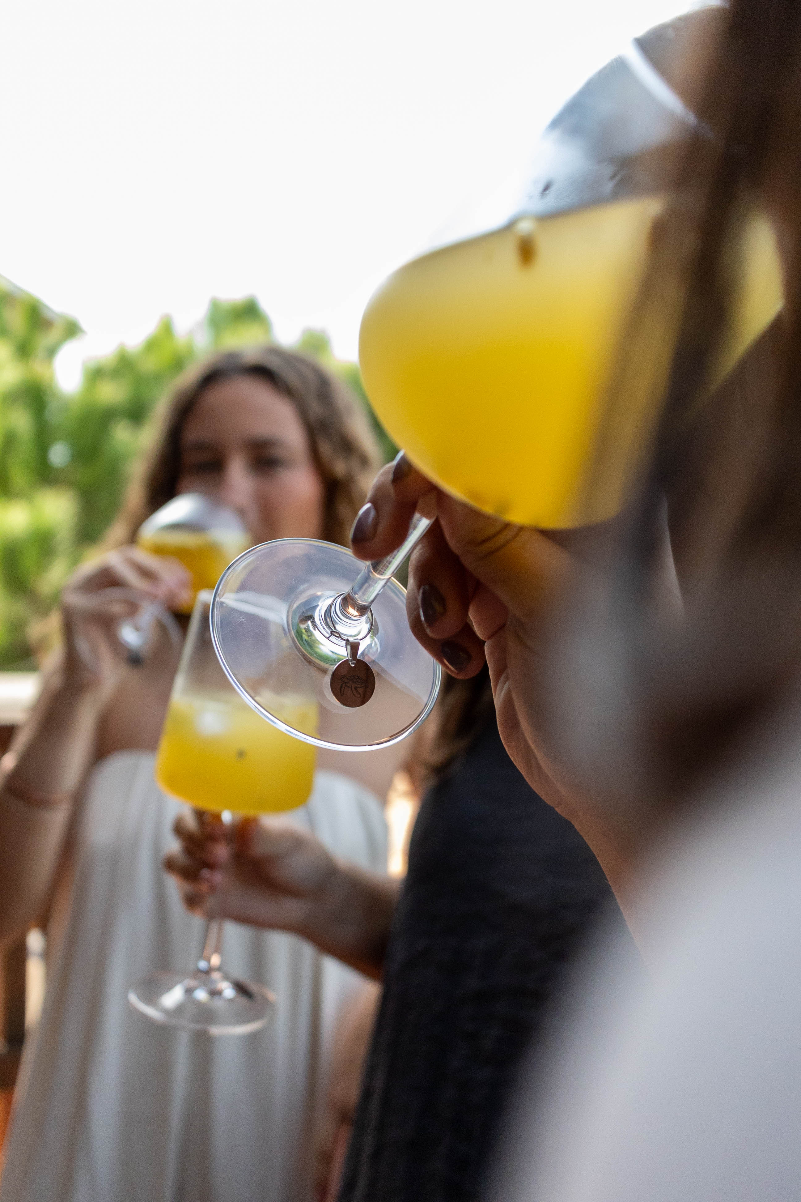 Identificadores de Copos (Família)